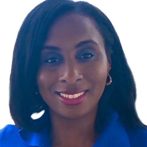 Bitt has established a subsidiary in Nigeria to facilitate smoother partnership with the CBN - Bitt Inc VP