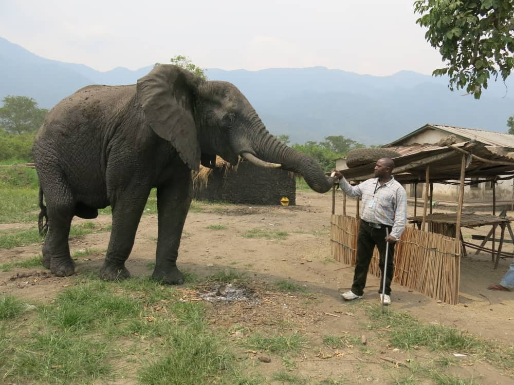 African winners recognised at the Animal Action Awards in London with a special award