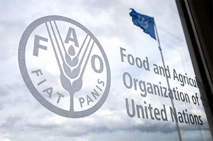 FAO, IFAD, UNICEF Warn of 500 Million People Facing Acute Malnutrition by 2030