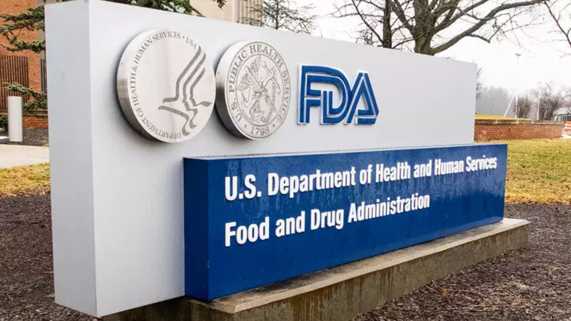 U.S. FDA Proposes Ban on Popular Decongestant in Cold Medicines