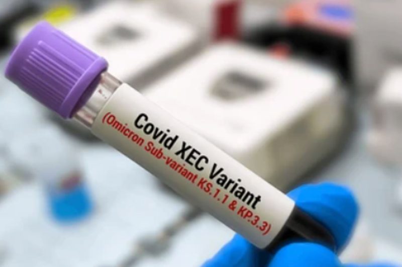 Federal Government Refutes Claims of COVID-19 Variant XEC in Nigeria, Urges Calm