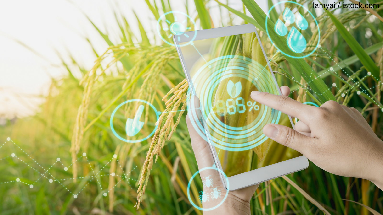 Taking Indoor Farming to the next level -Agtech Startups Offer Scalable Solutions agtech-featured-image