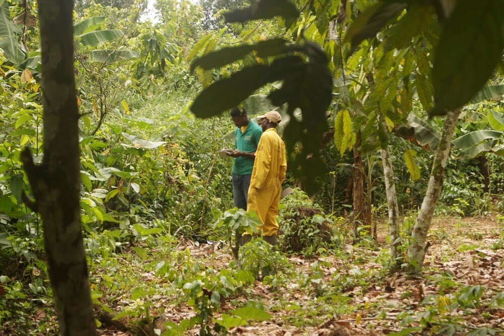 Three African startups to pitch at World Bank’s Agriculture Innovation Challenge