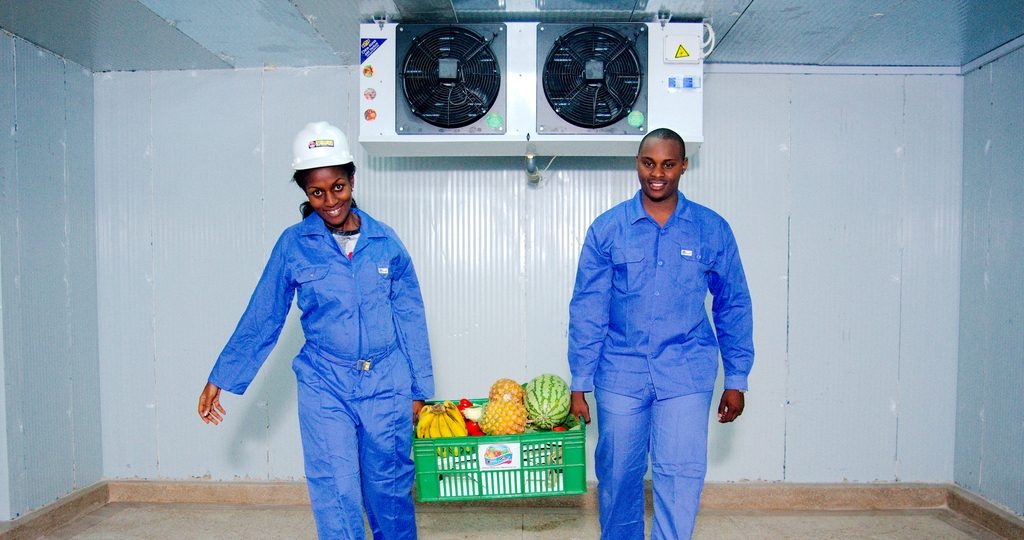 How Tanzanian agri-tech startup East Africa Fruits plans to scale after $3.1m Series A round East Africa Fruits