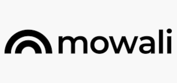 Payment Strategies For Expansion into Africa No alt text provided for this image