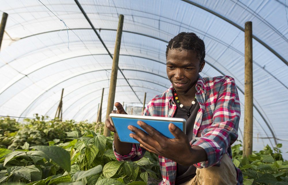 Fintech and farming