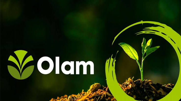 Olam emerges 2021 employer of choice in Africa