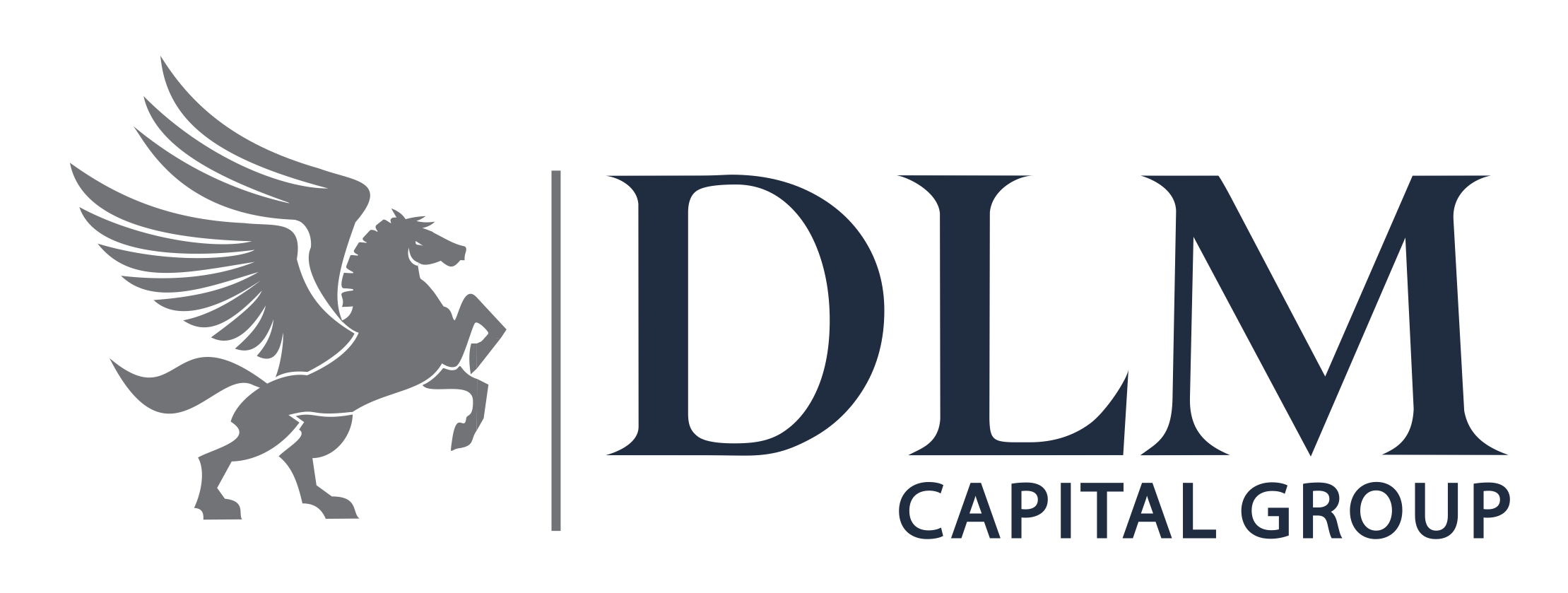 DLM Capital Group launches Pegasus Fintech challenge in Nigeria