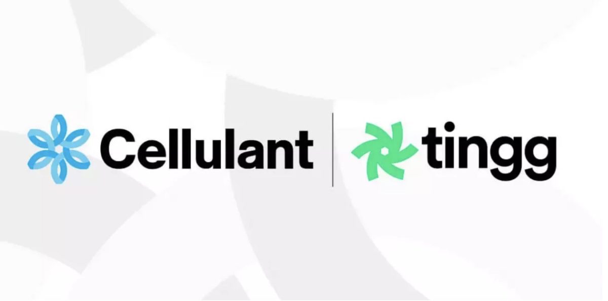 Ghana: Cellulant set to launch Tingg after receiving license