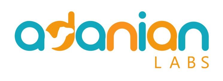 Adanian Labs launches venture building program call for tech startups for 2022 January cohort