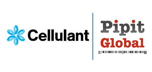 Africa: Pipit, Cellulant Payments Platform Enters 12 New African Markets