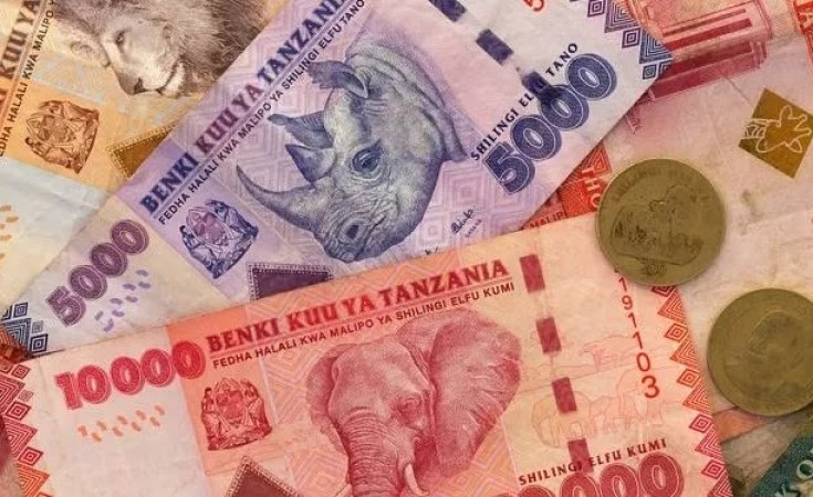 Tanzania: Bank of Tanzania Plans to Increase Growth of Money Supply