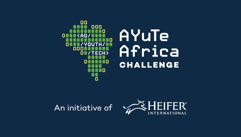Africa: Showcasing Young Tech Talent Delivering for African Farmers, Heifer International Selects ThriveAgric, DigiCow and Brastorne as Winners of the 2022 AYuTe Africa Challenge