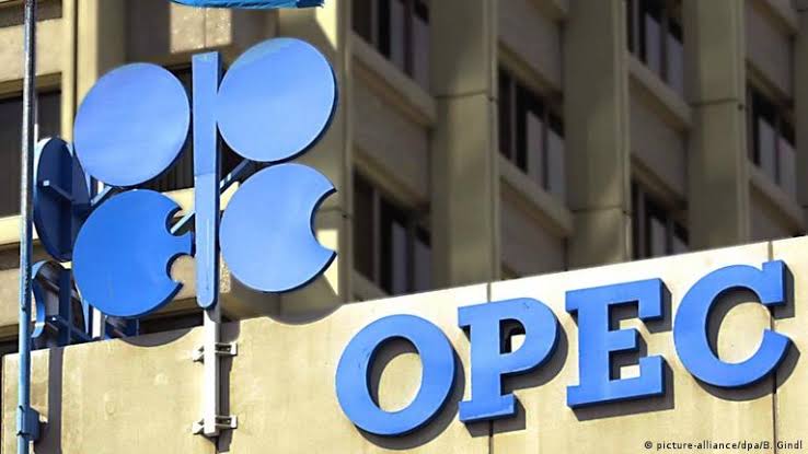 Africa: OPEC Fund Lends AFC $50m to Finance Infrastructure in Africa