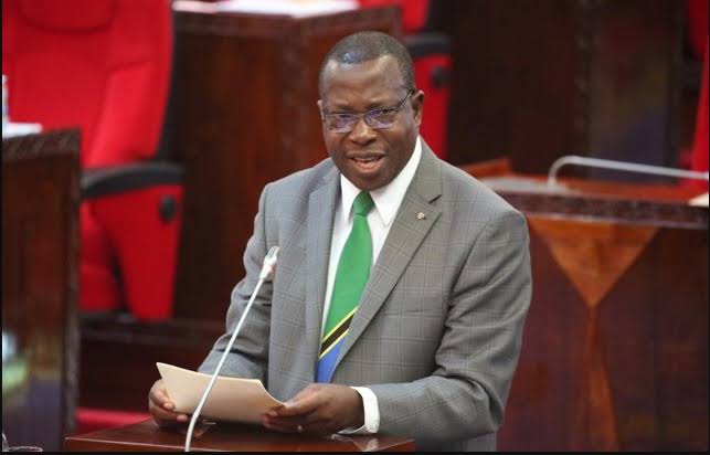 Tanzania: the government praises the local ICT sector to international investors