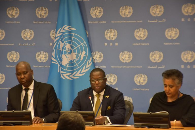 Nigeria and Africa Call for Inclusive Global Tax System to Support Sustainable Development Goals