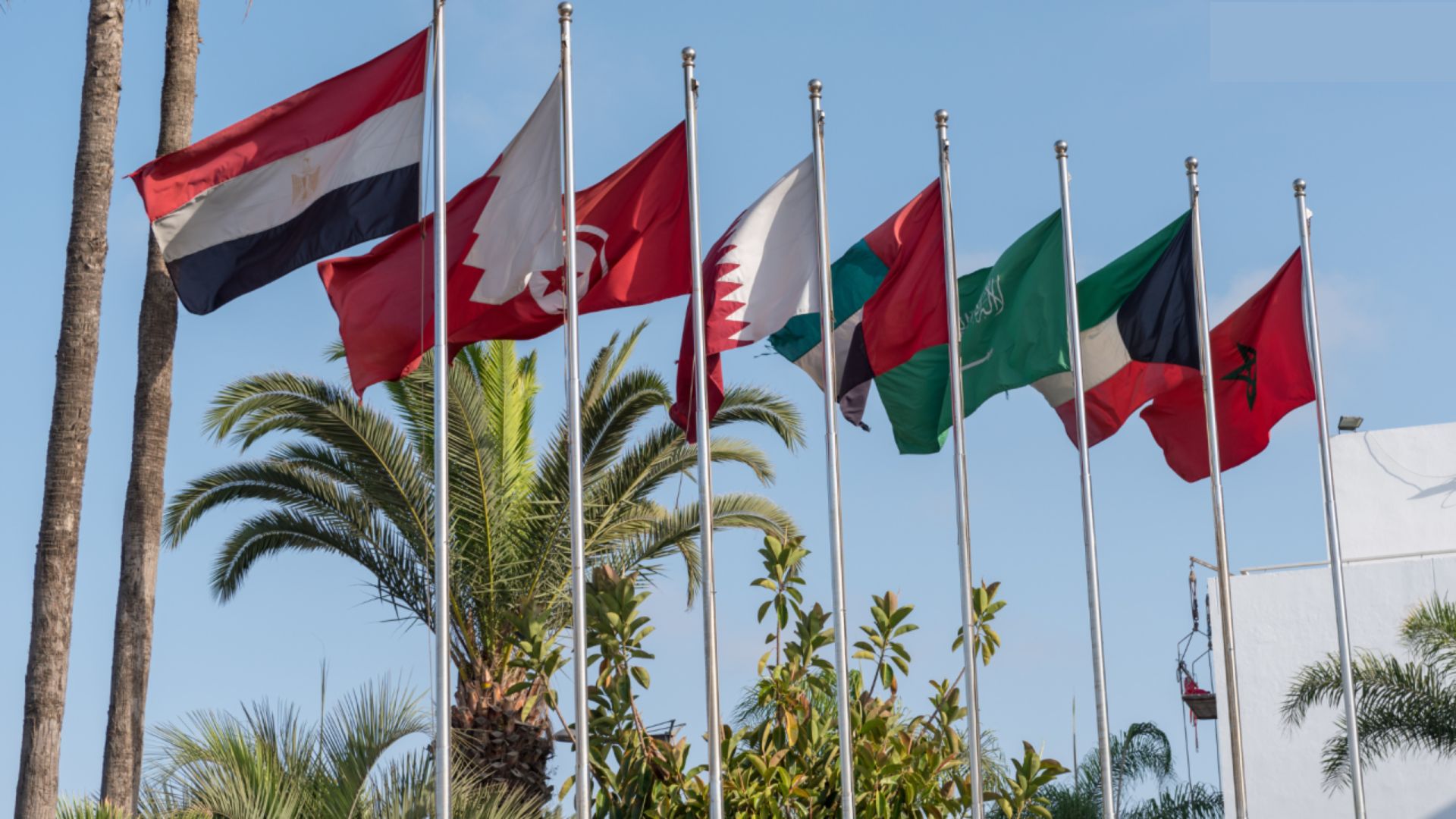 Egypt Dominates MENA Startup Funding in July 2024 Egypt Dominates MENA Startup Funding in July 2024