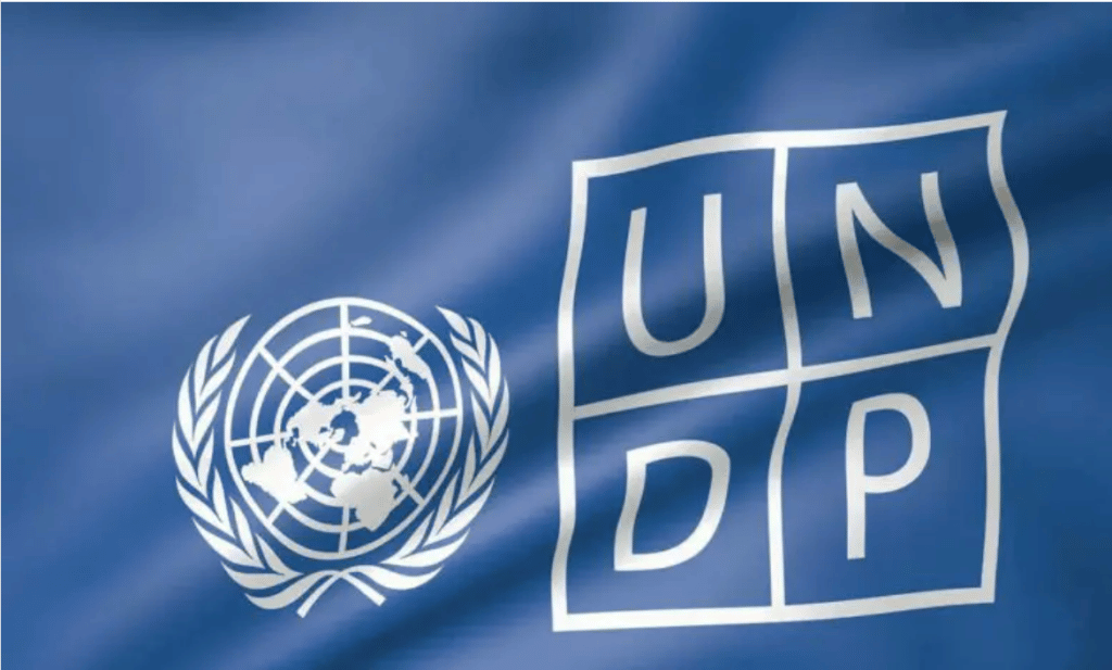 Global: UNDP and UNICEF Champion Open Source for Digital Public Infrastructure and Identity Management UNDP and UNICEF Champion Open Source for Digital Public Infrastructure and Identity Management