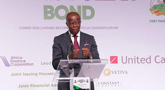 Nigerian Government Requires BVN and NIN for $500 Million Bond Subscription Nigerian Government Requires BVN and NIN for $500 Million Bond Subscription