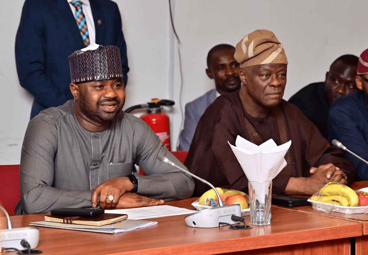 Leveraging Windfall Tax to Accelerate Nigeria’s Economic Diversification